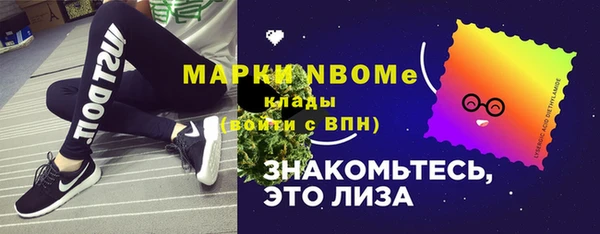 стаф Тавда