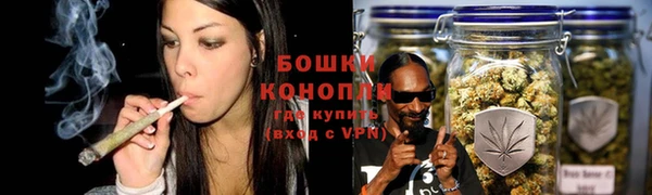 молекула духа Гусиноозёрск