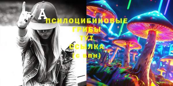 молекула духа Гусиноозёрск
