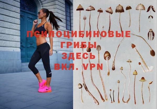 spice Вязники
