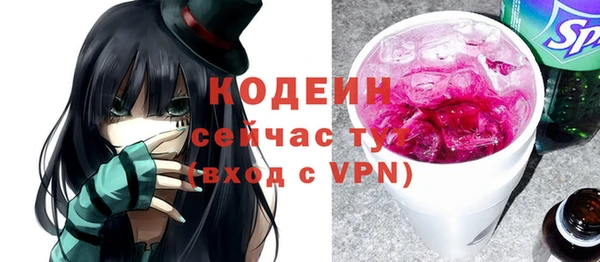 мдпв Вяземский
