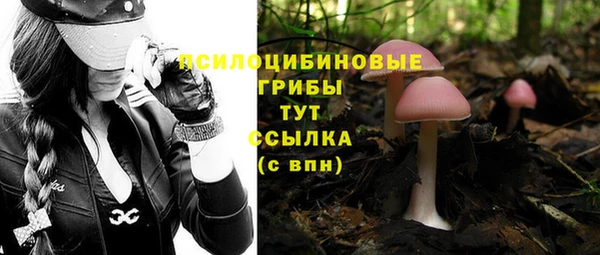 альфа пвп Вязьма
