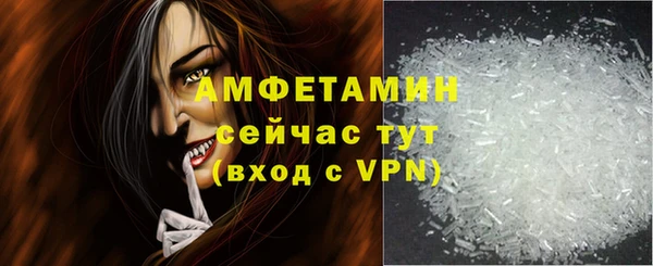 мдпв Вяземский