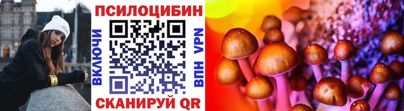 купить закладку  Данков  Псилоцибиновые грибы прущие грибы 